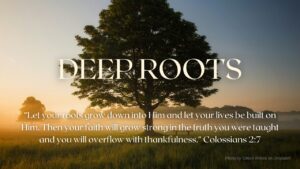 2024-02-18 Deep Roots - Colossians 2_7